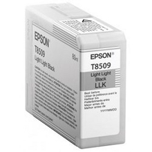EPSON C13T850900 Картридж Epson T8509 для SC-P800 Light Light Black, 80 мл. (cons ink)