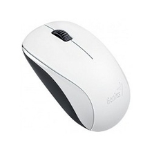Genius NX-7000 White {мышь оптическая, 1200 dpi, радио 2,4 Ггц, 1хАА, USB} [31030109108]