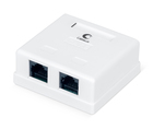 Cabeus WS-8P8C-Cat.6-2 Розетка компьютерная RJ-45(8P8C), категория 6, двойная, внешняя, Dual IDC Cabeus WS-8P8C-Cat.6-2 Розетка компьютерная RJ-45(8P8C), категория 6, двойная, внешняя, Dual IDC