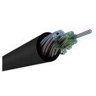 Hyperline FO-AWS2-IN/OUT-9-8-LSZH-BK Кабель волоконно-оптический 9/125 (G.652D) одномодовый, 8 волокон, гибкий, бронированный, волокна в канате из стальных проволок, гелезаполненный, (1метр) Hyperline FO-AWS2-IN/OUT-9-8-LSZH-BK Кабель волоконно-оптический 9/125 (G.652D) одномодовый, 8 волокон, гибкий, бронированный, волокна в канате из стальных проволок, гелезаполненный, (1метр)