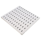 ЦМО Полка перфорированная выдвижная с телескоп. направляющими, глубина 1000 мм (ТСВ-100)