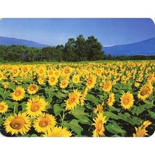 Коврик для мыши Buro BU-M20036 рисунок/подсолнухи [817310]