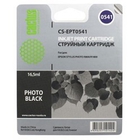 Cactus C13T05414010 Картридж струйный CS-EPT0541 черный для Epson Stylus Photo R800/ R1800 (16,2ml)