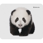 Defender Wild Animals [50803] Коврик для компьютерной мыши, 220x180x2 мм, 8 видов 