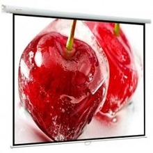 Viewscreen Lotus WLO-1102 Экран ручной (1:1) 153*153 (147*147) MW