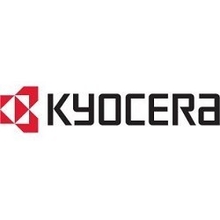 Kyocera-Mita TK-3160 Тонер-картридж {P3045dn/P3050dn/P3055dn/P3060dn (12 500 стр.)}