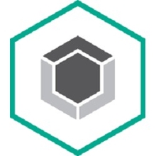 KL4863RAPFW Kaspersky Endpoint Security для бизнеса - Стандартный 25-49 users Cross-grade License