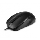 CBR CM 131 Black, Мышь проводная, оптическая, USB, 1000 dpi, 3 кнопки и колесо прокрутки, ABS-пластик, длина кабеля 2 м, цвет чёрный
