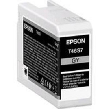 EPSON C13T46S700  картридж для SC-P700 серый 25 мл. (LFP)