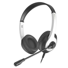 A4Tech Fstyler FH100U белый/черный 2м накладные USB (FH100U (PANDA))