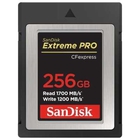Compact Flash 256Gb Sandisk Extreme Pro CFExpress Type B SDCFE-256G-GN4NN
