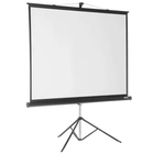 Экран на треноге Lumien 128x171см Master View LMV-100106 4:3 напольный рулонный