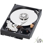 2TB WD Caviar Black (WD2003FZEX) {Serial ATA III, 7200 rpm, 64Mb buffer} 2TB WD Caviar Black (WD2003FZEX) {Serial ATA III, 7200 rpm, 64Mb buffer}